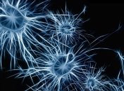 Впервые созданы искусственные нейроны для лечения тяжелых болезней