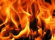 Четвертые сутки в Эстонии тушат пожар на военном полигоне