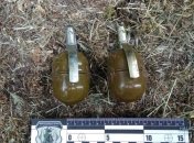 В Николаеве в магазине обнаружили три гранаты