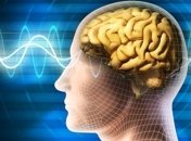От чего зависит работа мозга?