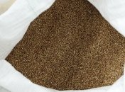 Украинские аграрии завершают сев крупяных культур