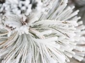 Какой праздник 5 декабря: народные приметы и запреты