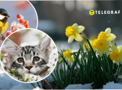 Погода у березні в Україні