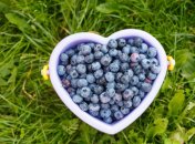 22 июля. Приметы дня