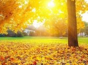 В Украину вернулось бабье лето