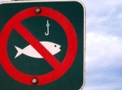 На Одещині прикордонники виявили незаконний вилов риби