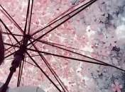 Погода в Украине 15 мая: мелкий дождь пройдет по всей стране