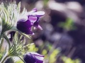 ТОП 5 вещей, которые нужно сделать за весну-2020