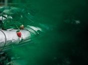 Клубника требует особого ухода в августе