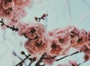 Какой праздник 17 марта: народные приметы и запреты 