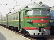 В Новосибирске эвакуировали электричку из-за коробки с котятами 