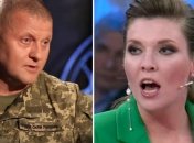 Скабеева обозвала Залужного клоуном, перекрутив все сказанные им слова