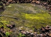 Ученые вскрыли могилу Николая Чудотворца