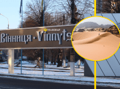 Насекомое в Виннице