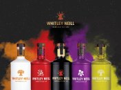 Все про джин: як обрати, з чим поєднувати, як подавати