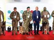 Благодарность четвероногим героям!