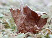 Прохлада Западной Европы наступает на Украину 