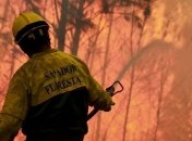 Лесные пожары бушуют в 10 западных штатах США