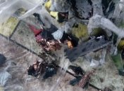 Бойцы ВСУ на Донбассе подбили вражеский беспилотник