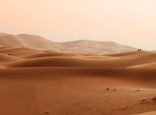 В Сахаре было достаточно воды: в пустыне обнаружены останки древней рыбы