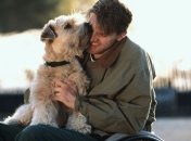 Ученые сделали грандиозное открытие о собаках 