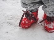 Сапоги – незаменимая деталь гардероба любой женщины