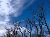 В Украине уже почувствуется приход весны