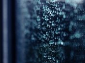 Прогноз погоды в Украине на сегодня: дожди на западе и севере