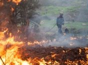Северную Испанию окутали сильные лесные пожары: фото