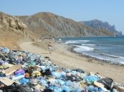 Ученые смогут решить проблему переработки мусора с помощью личинок