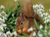 Прогноз погоды в Украине