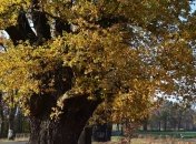 Приметы и обряды на 7 ноября: что категорически нельзя делать сегодня