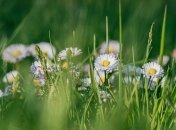 Какой праздник 3 мая: народные приметы и запреты