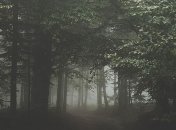 Можно ли получить энергию от холода: есть ответ