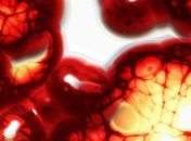 Ученые не нашли донорской плазмы, не загрязненной кофеином и лекарствами