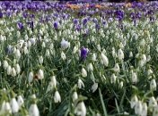 Тепла погода у цей день - до холодного травня