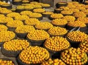 Лекарство от стресса: прогулка, молоко и апельсин