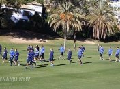 "Динамо" проиграло "Штурму" (Видео)