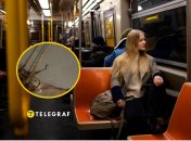 Во львовском трамвае нашли мумию