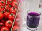 Чем опрыскивать помидоры, чтобы был здоровый урожай