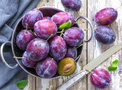 Заготовки из слив: гид по лучшим рецептам