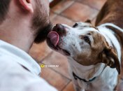 Цей жест висловлює прихильність, повагу і не лише