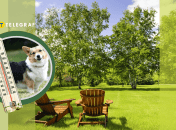 Погода в Украине