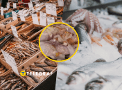 Риба є цінним джерелом білка