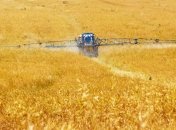 Рынок земли: Всемирный банк дал Украине рекомендации 