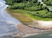 Украина – единственная страна в Европе, территория которой ежегодно растет