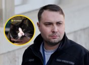 Кот Гюнтер - один из домашних любимцев Кирилла Буданова