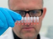 ГМО-дрожжи пометили ДНК-штрихкодом