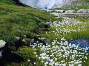 14 марта. Приметы дня