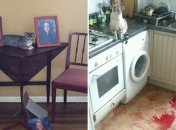 Забавные и смешные коты из ВК поднимут настроение